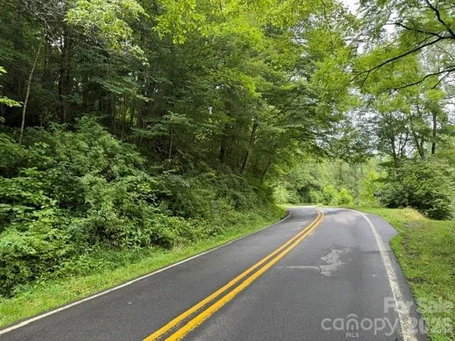 TBD Meadow Fork Road Hot Springs, NC 28743