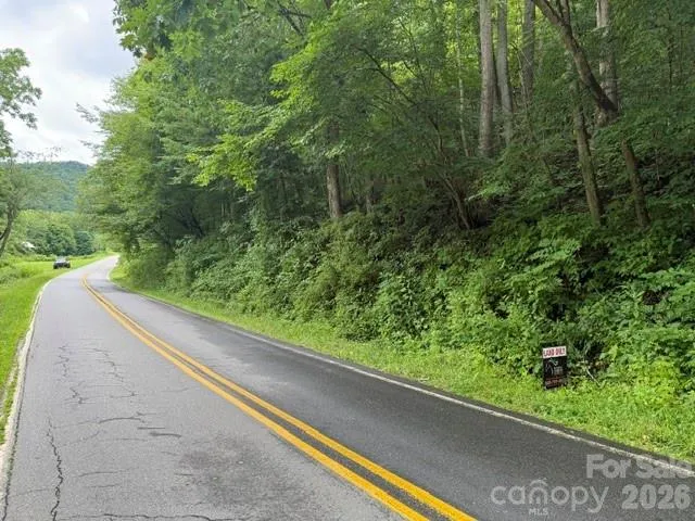 TBD Meadow Fork Road Hot Springs, NC 28743