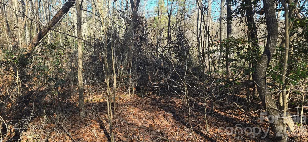 000 Peak Place NW Lenoir, NC 28645