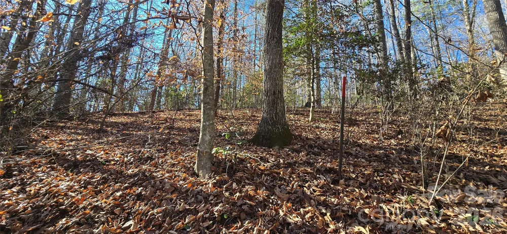 000 Peak Place NW Lenoir, NC 28645