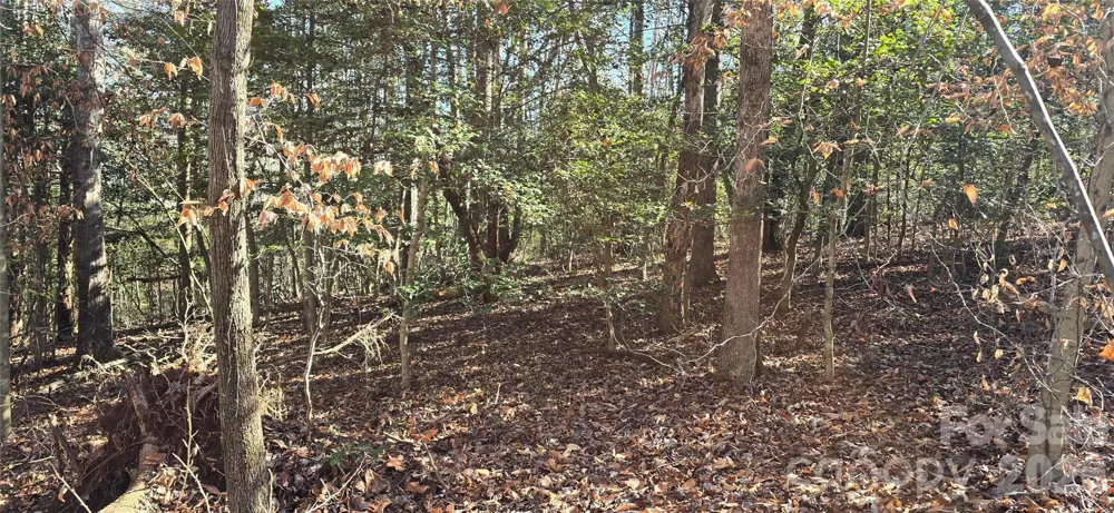 000 Peak Place NW Lenoir, NC 28645