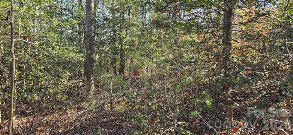 000 Peak Place NW Lenoir, NC 28645