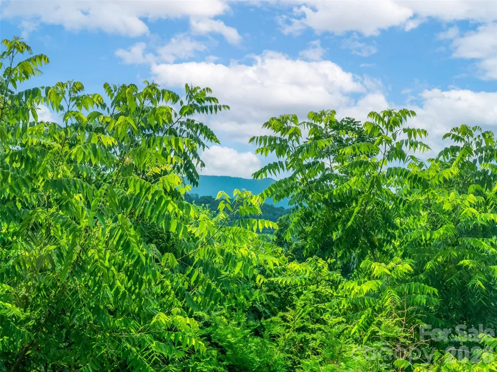 647 Town Mountain Road #309 Asheville, NC 28804