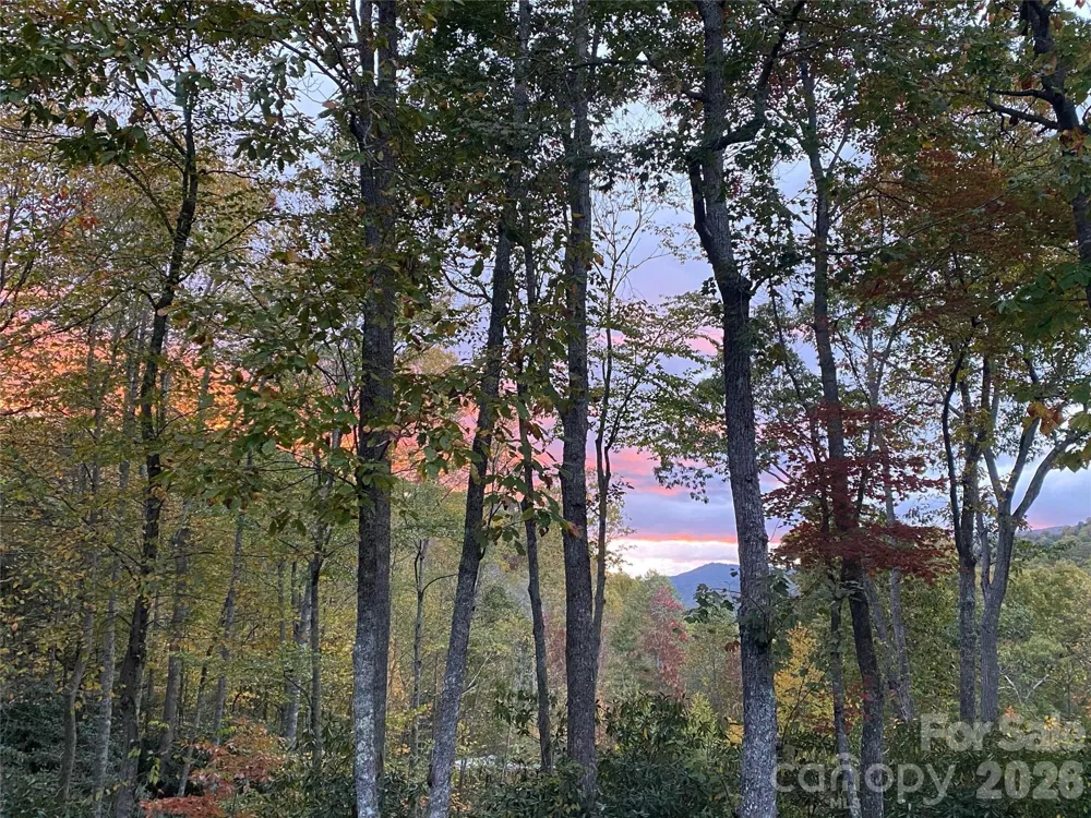 102 and 104 Carriage Drive Fairview, NC 28730