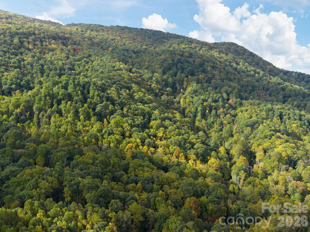 102 and 104 Carriage Drive Fairview, NC 28730