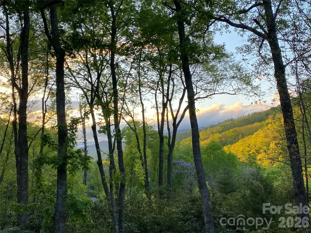 102 and 104 Carriage Drive Fairview, NC 28730