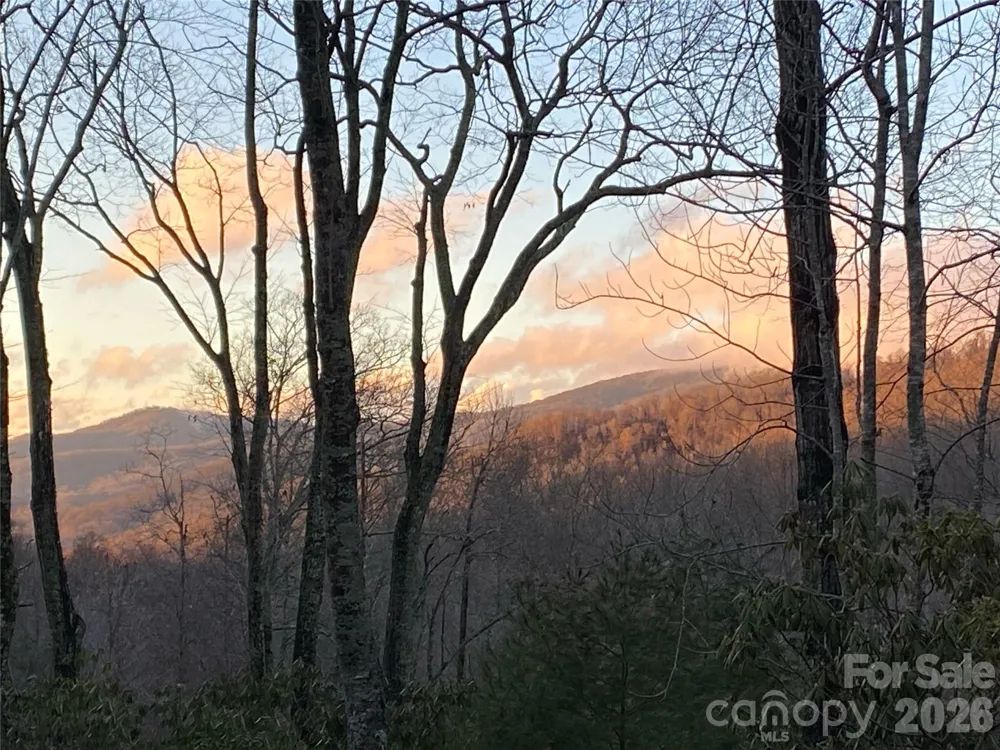 102 and 104 Carriage Drive Fairview, NC 28730