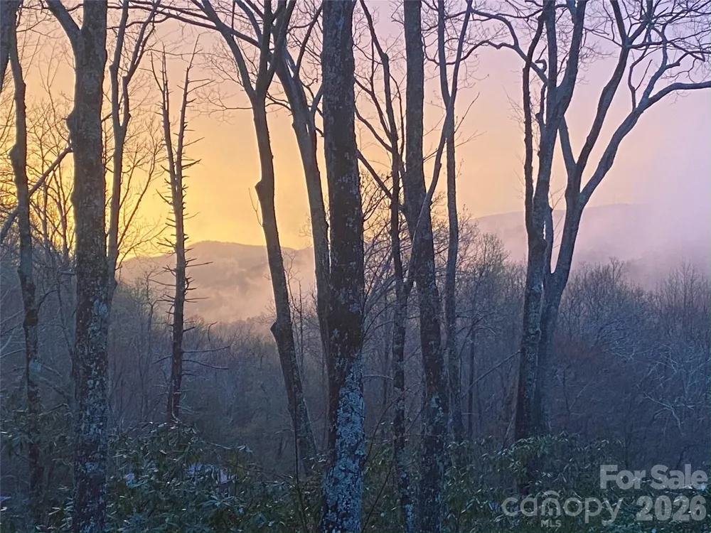 102 and 104 Carriage Drive Fairview, NC 28730