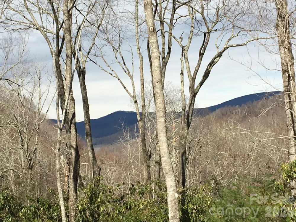 102 and 104 Carriage Drive Fairview, NC 28730