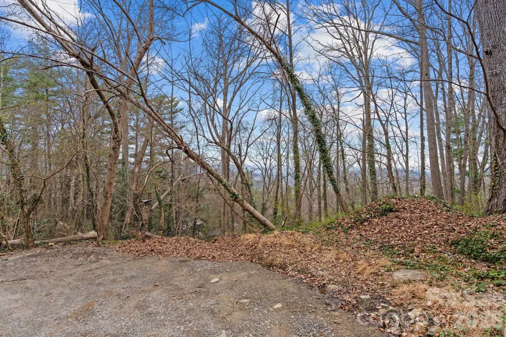 99999 Sunset Drive Asheville, NC 28804