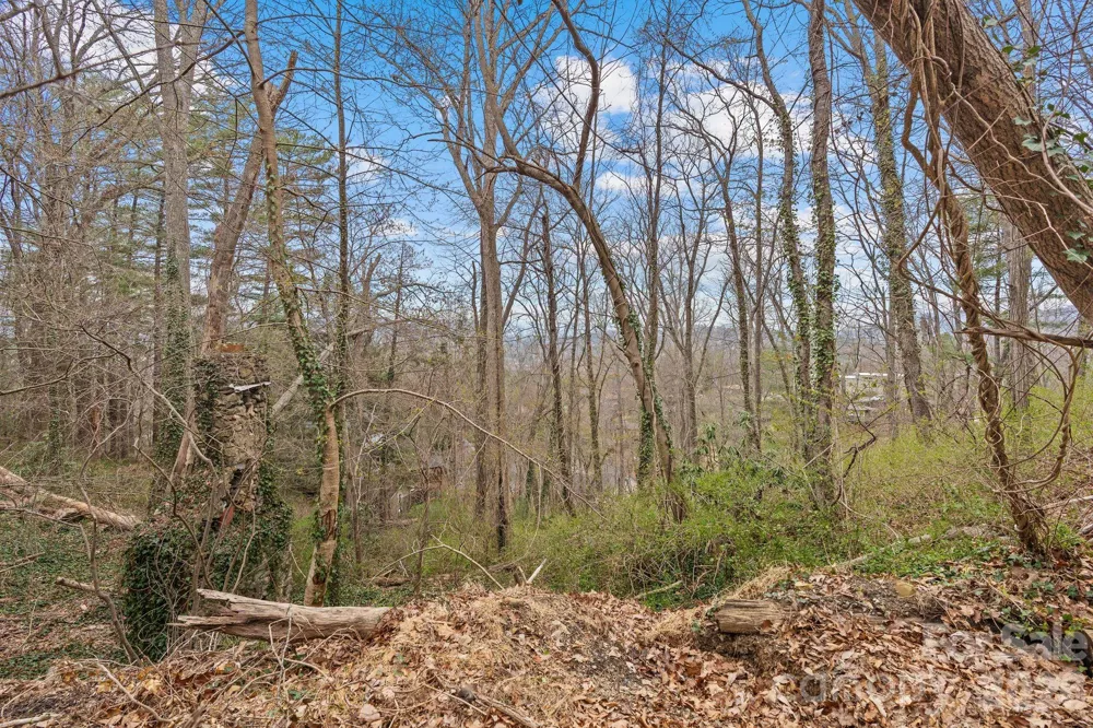 99999 Sunset Drive Asheville, NC 28804