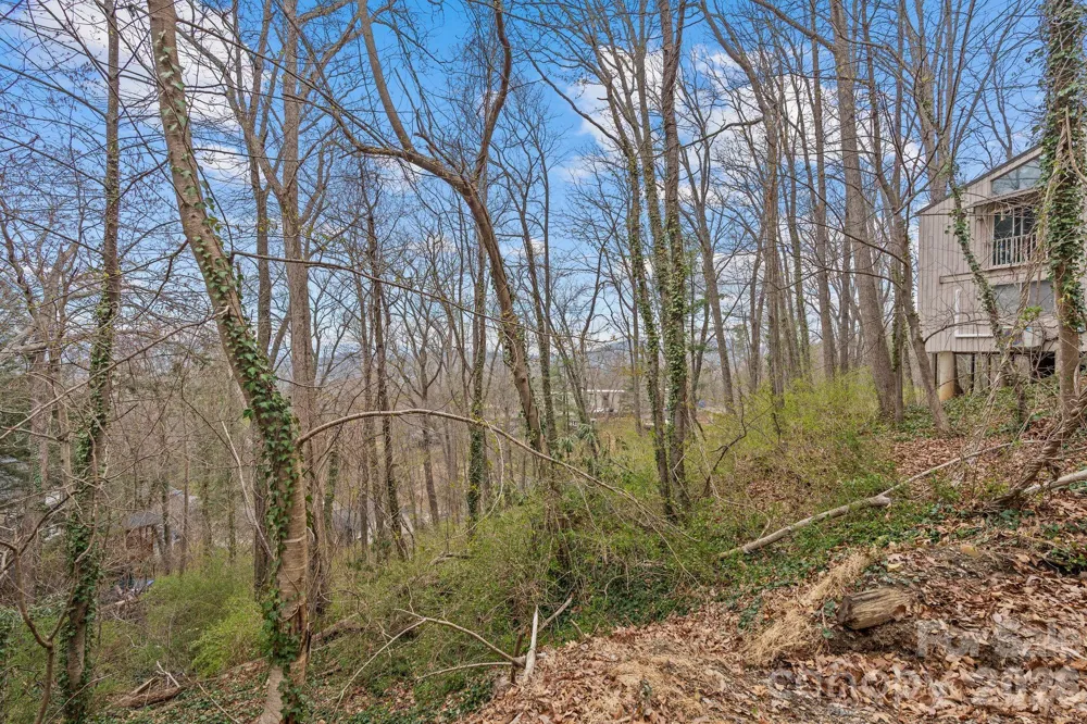 99999 Sunset Drive Asheville, NC 28804