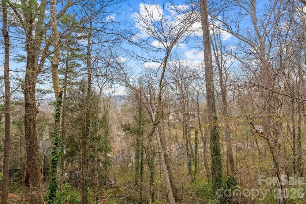 99999 Sunset Drive Asheville, NC 28804