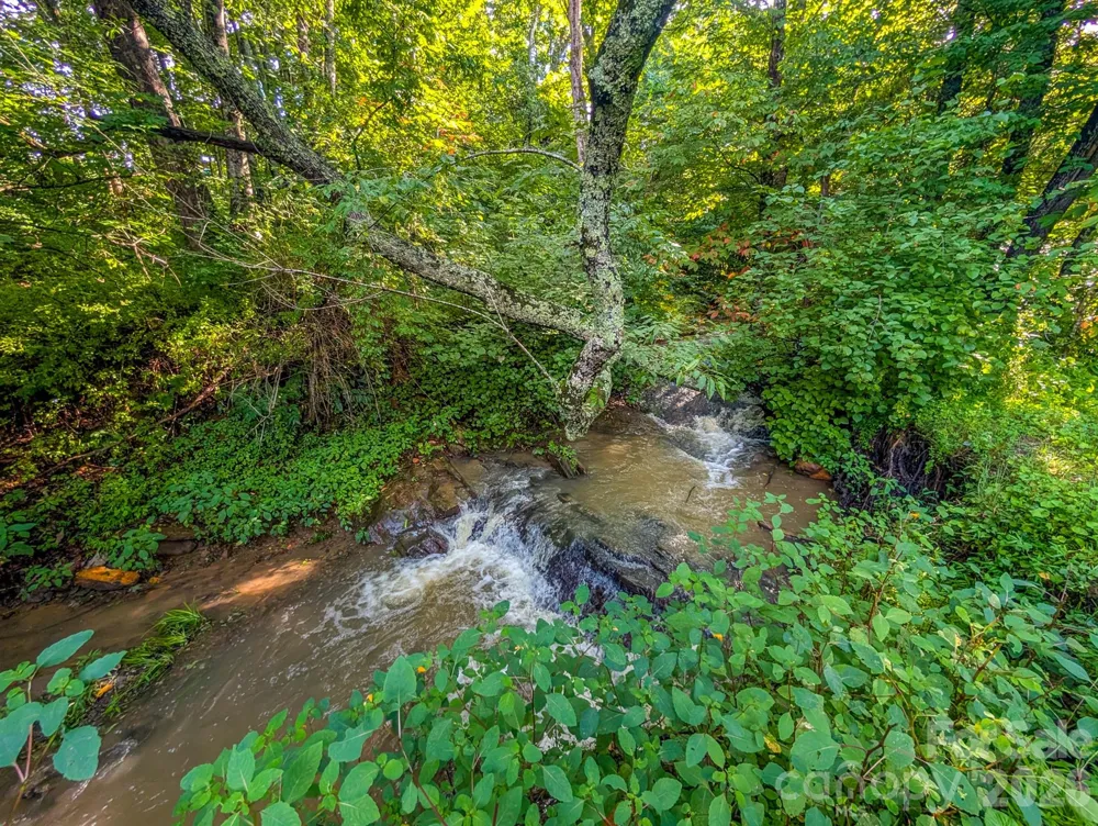 172 Lower Browns Creek Road Burnsville, NC 28714