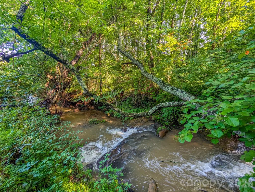 172 Lower Browns Creek Road Burnsville, NC 28714