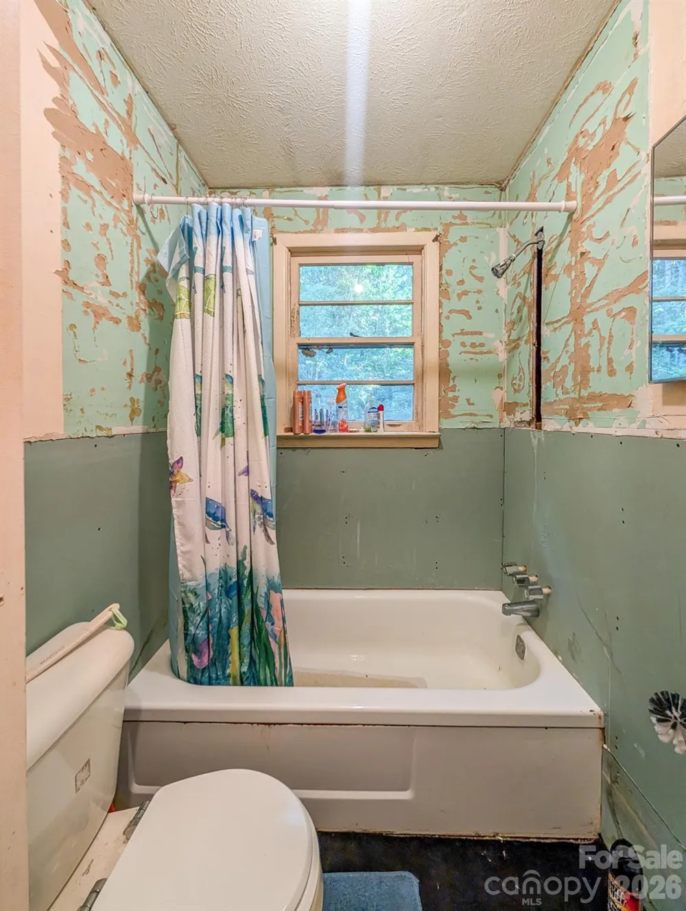 172 Lower Browns Creek Road Burnsville, NC 28714