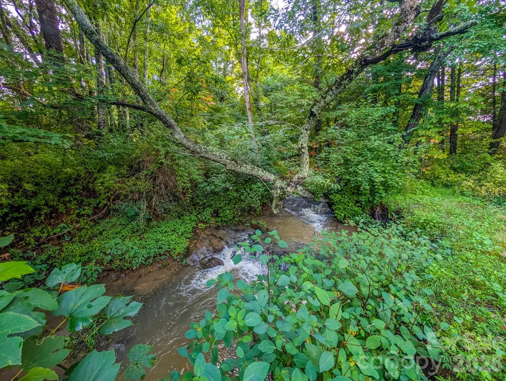 172 Lower Browns Creek Road Burnsville, NC 28714