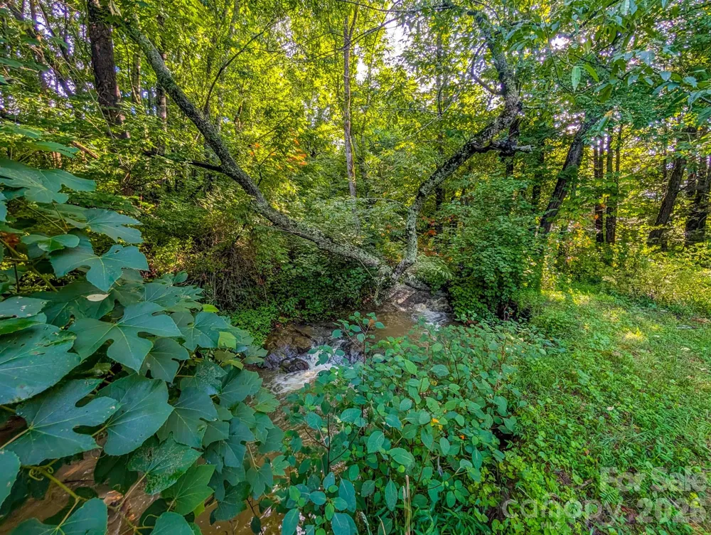 172 Lower Browns Creek Road Burnsville, NC 28714
