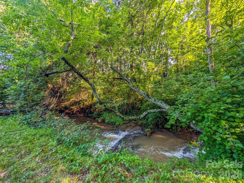 172 Lower Browns Creek Road Burnsville, NC 28714