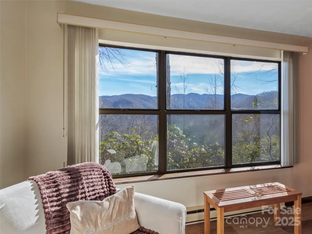 383 Overlook Drive #Alpine 2 Burnsville, NC 28714