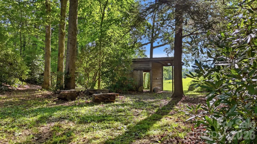1686 Dutch Cove Road Canton, NC 28716