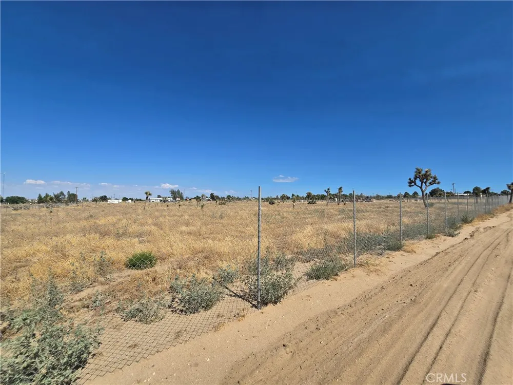 11025 Acanthus Phelan, CA 92371