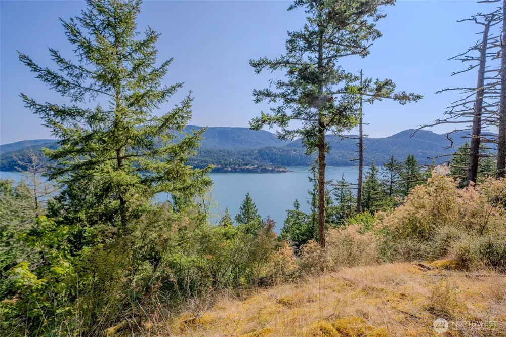 37 Silvermoon Lane Orcas Island, WA 98280