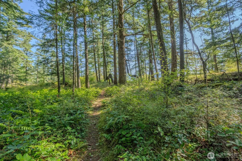 37 Silvermoon Lane Orcas Island, WA 98280