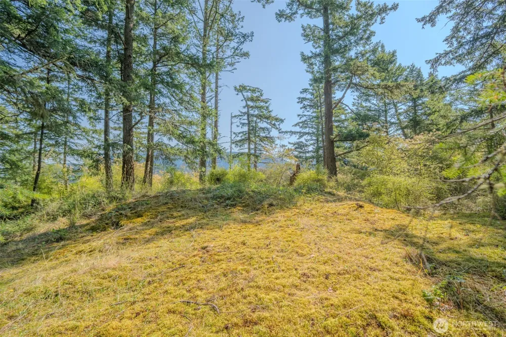 37 Silvermoon Lane Orcas Island, WA 98280