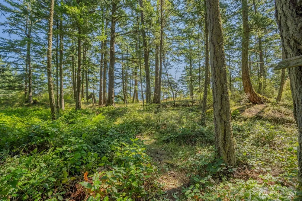 37 Silvermoon Lane Orcas Island, WA 98280