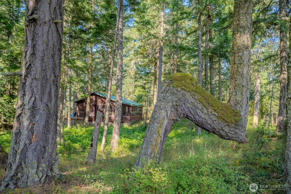 37 Silvermoon Lane Orcas Island, WA 98280