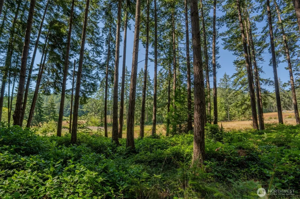 37 Silvermoon Lane Orcas Island, WA 98280
