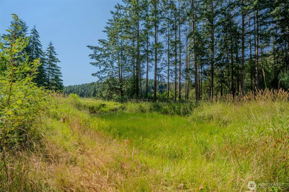 37 Silvermoon Lane Orcas Island, WA 98280