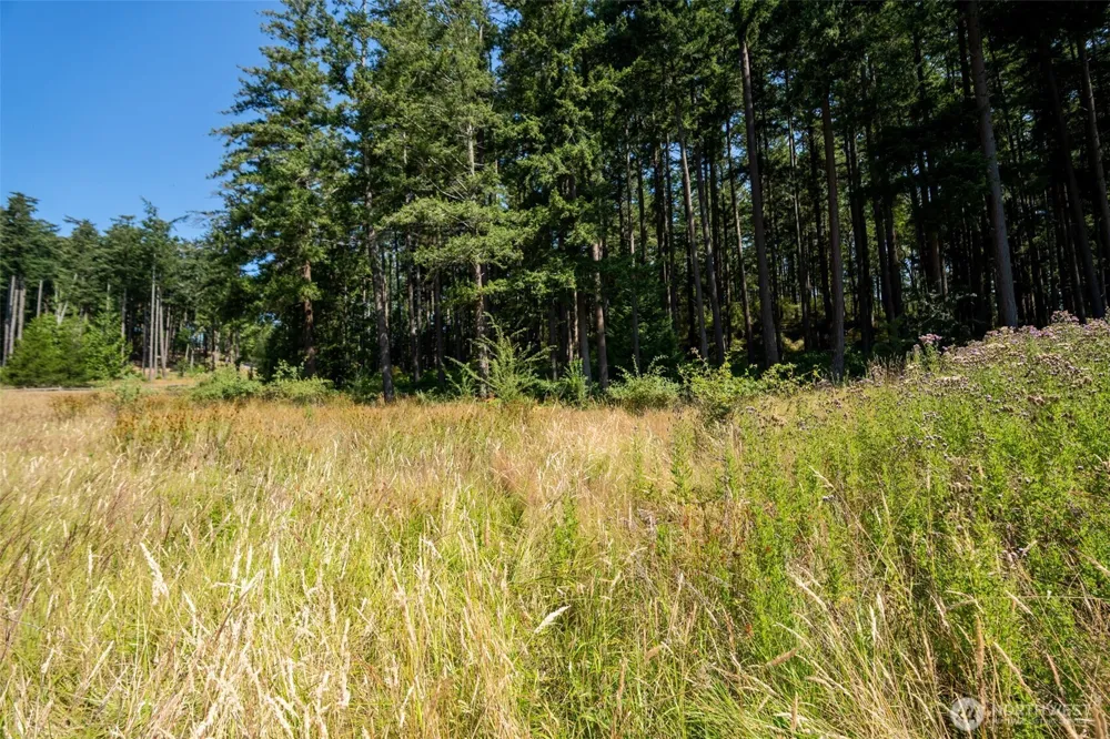 37 Silvermoon Lane Orcas Island, WA 98280