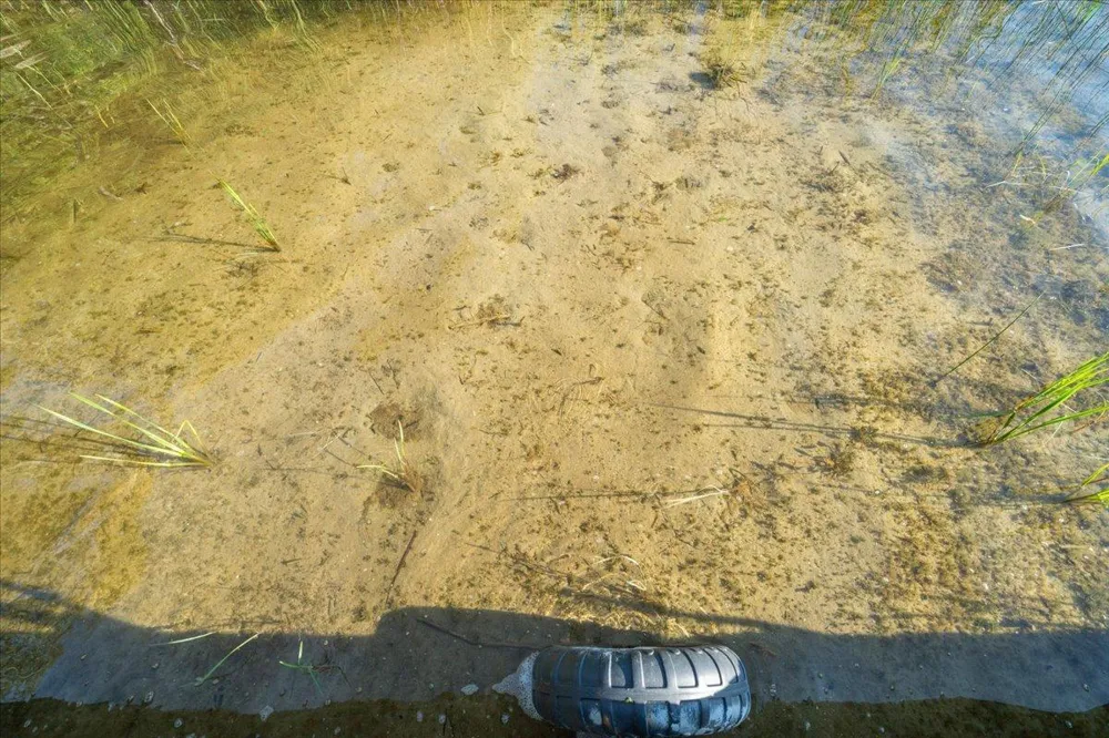 14560 Gazebo Drive Park Rapids, MN 56470