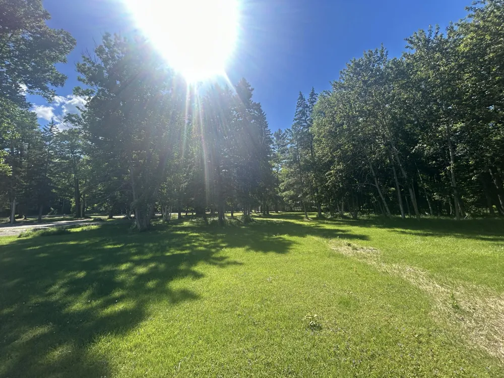 14560 Gazebo Drive Park Rapids, MN 56470