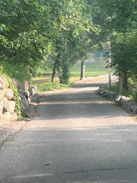14560 Gazebo Drive Park Rapids, MN 56470