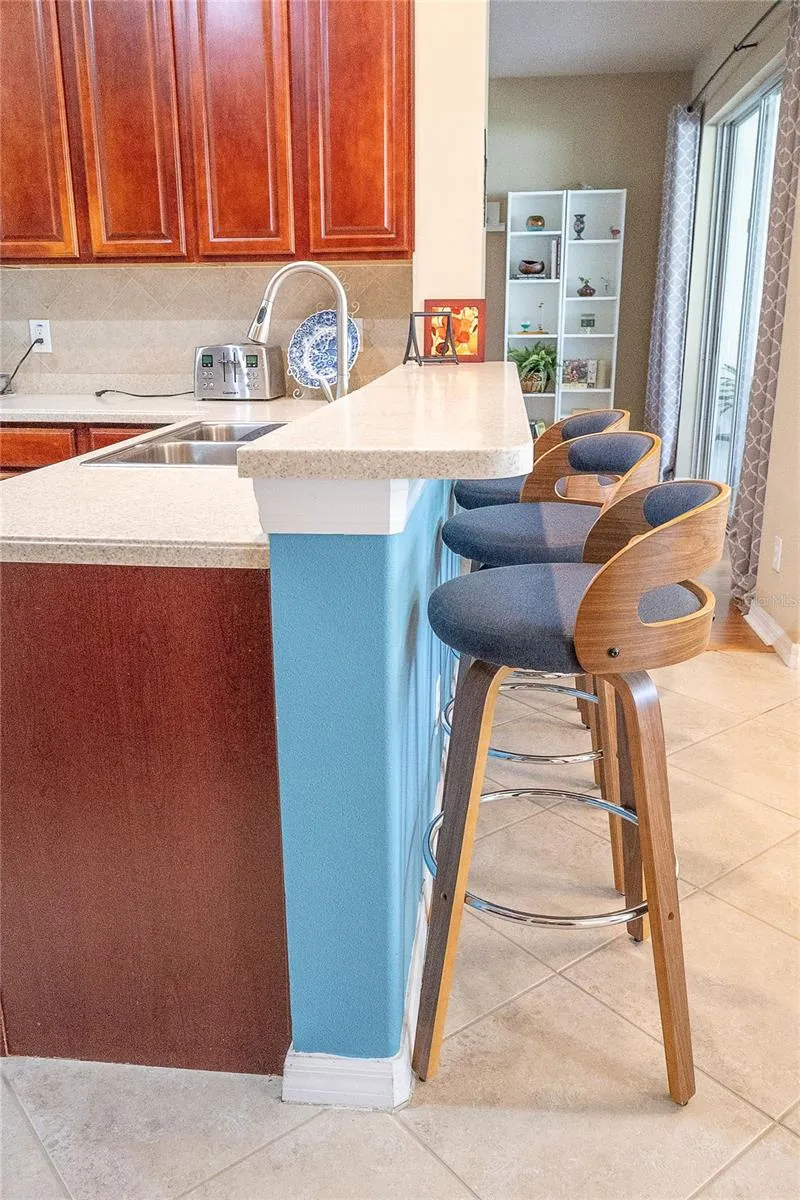 307 CARRIAGE OAK PL Seffner, FL 33584