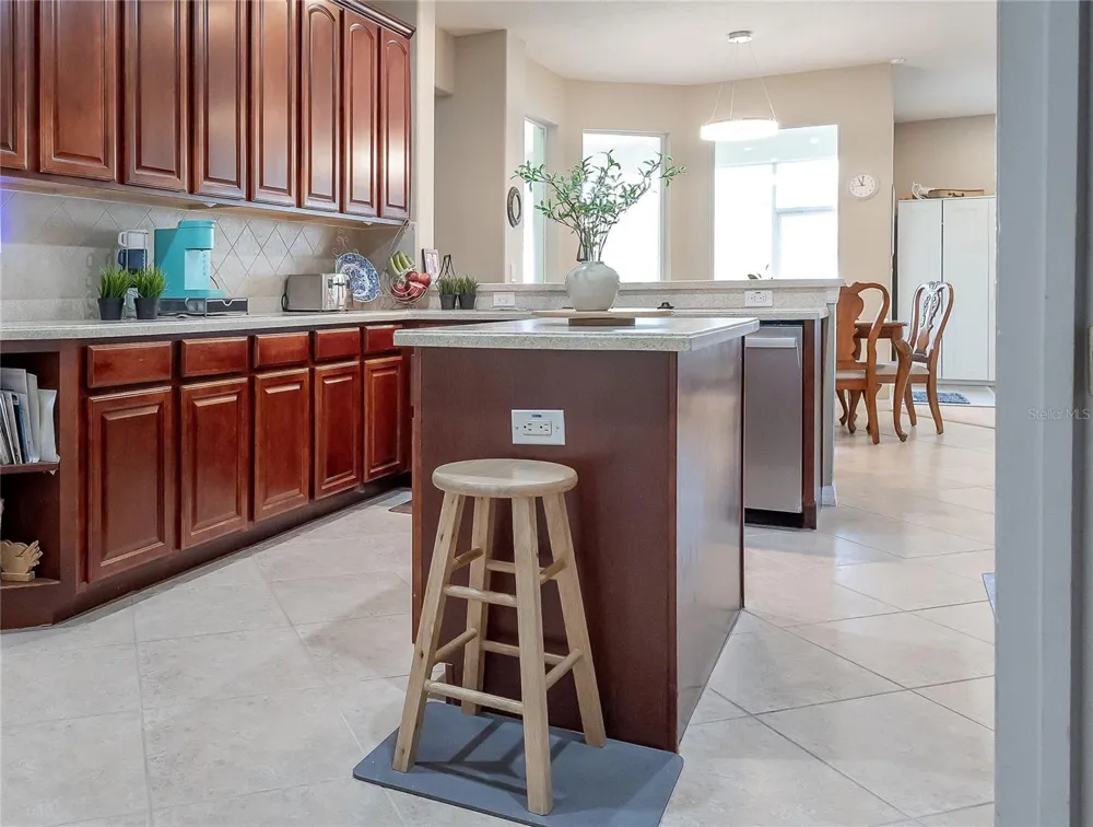 307 CARRIAGE OAK PL Seffner, FL 33584