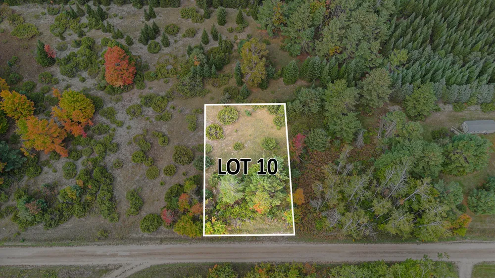 Trout Creek Road Cheboygan, MI 49721