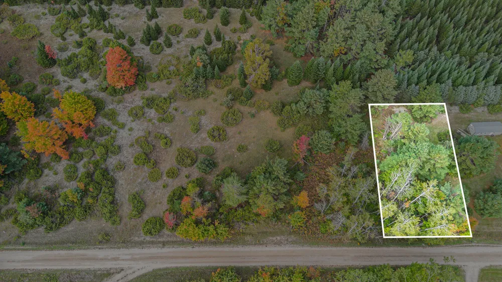 Trout Creek Road Cheboygan, MI 49721