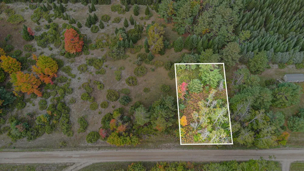 Trout Creek Road Cheboygan, MI 49721
