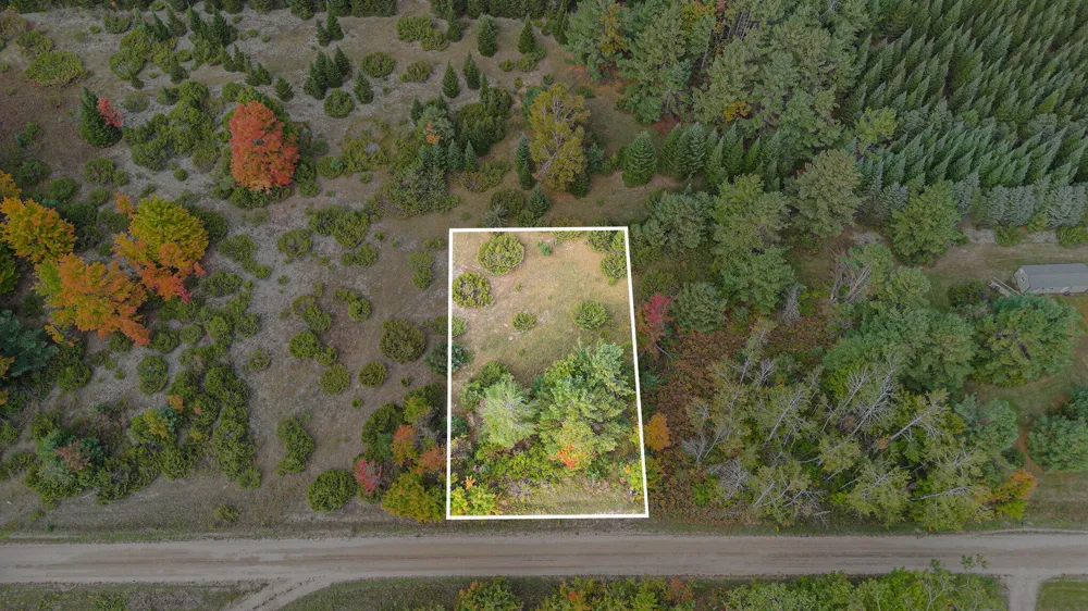 Trout Creek Road Cheboygan, MI 49721