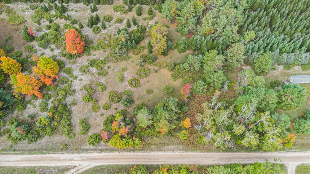 Trout Creek Road Cheboygan, MI 49721