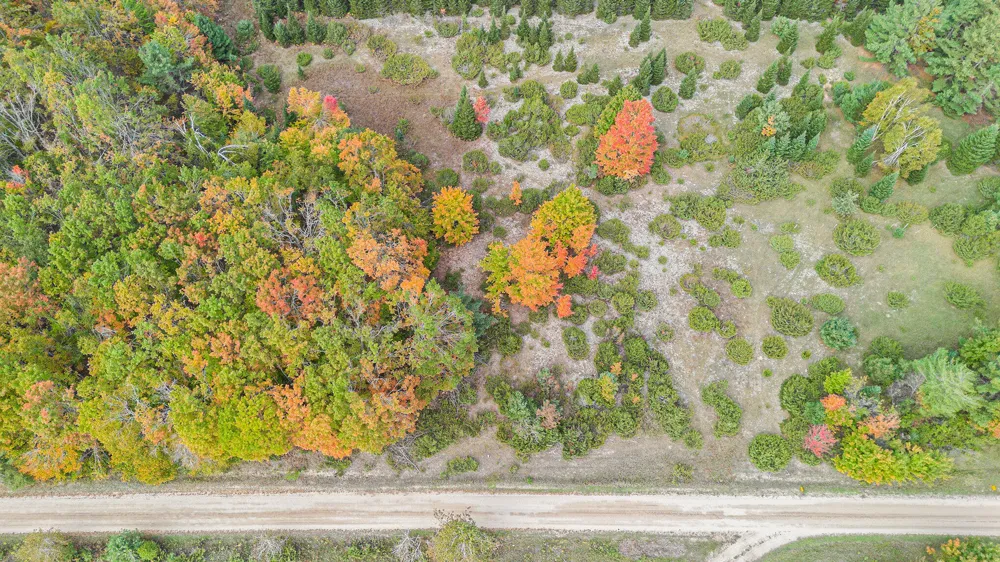 Trout Creek Road Cheboygan, MI 49721