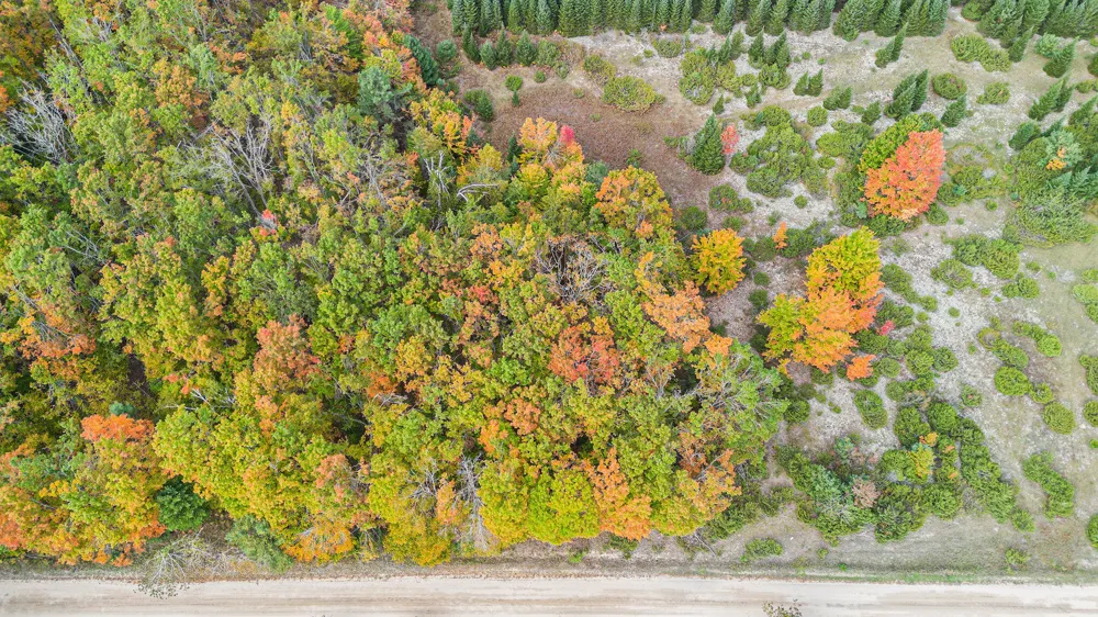 Trout Creek Road Cheboygan, MI 49721