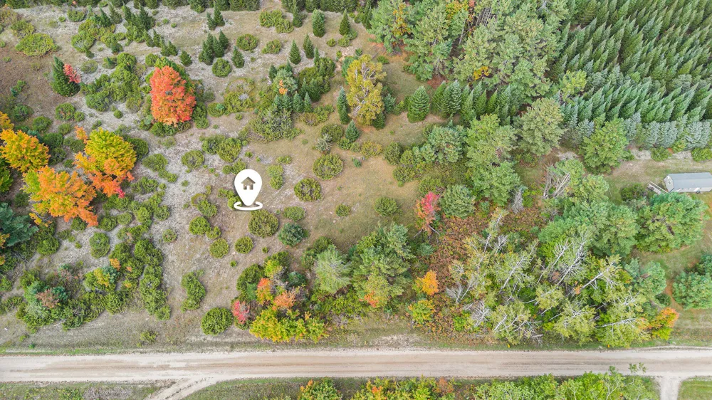 Trout Creek Road Cheboygan, MI 49721