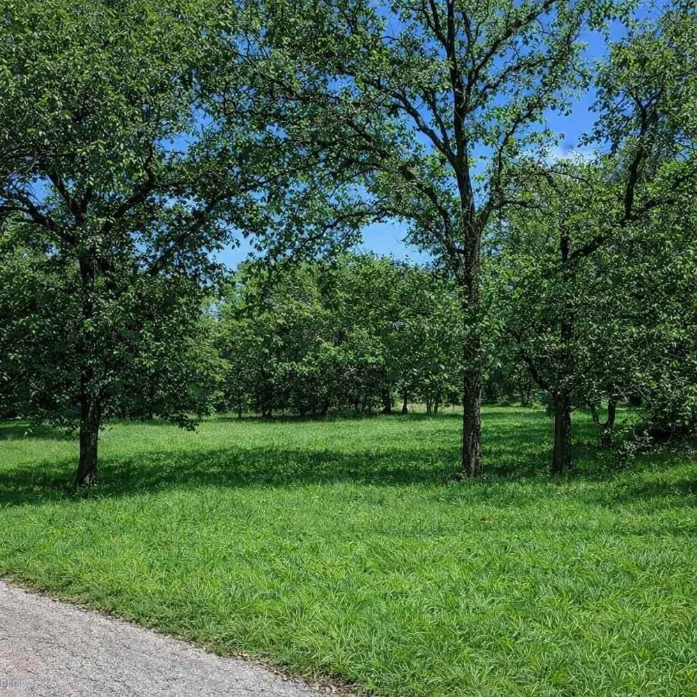 196 Johnston Lane Runaway Bay, TX 76426