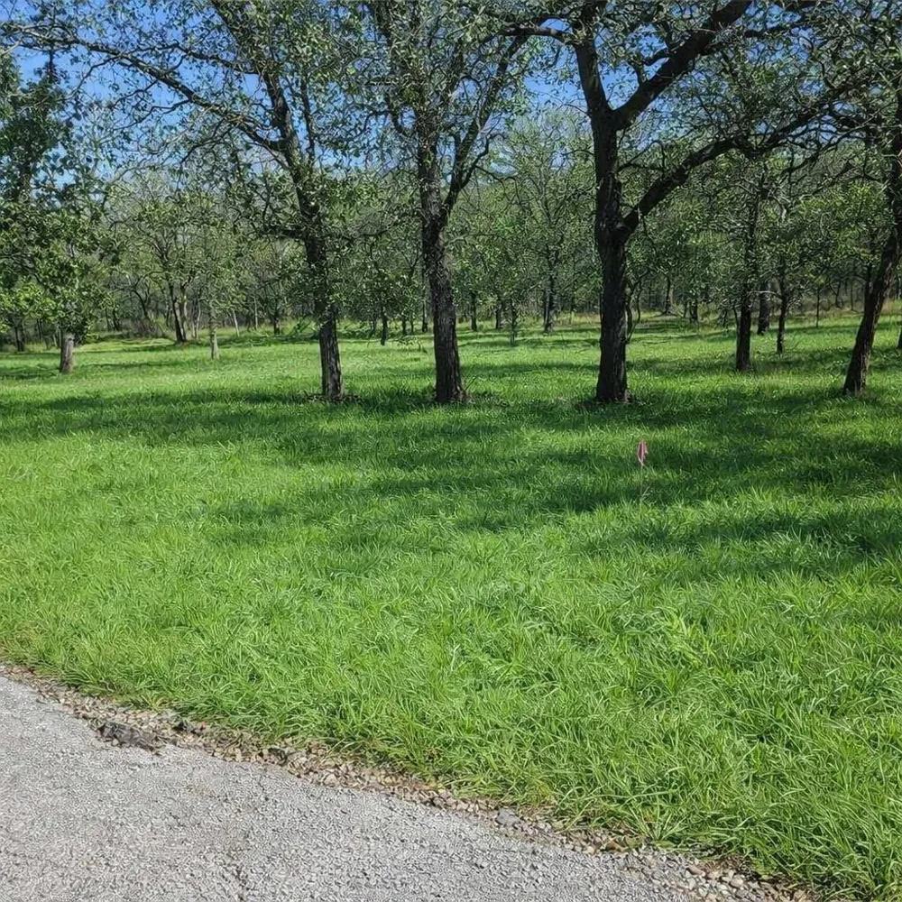 196 Johnston Lane Runaway Bay, TX 76426