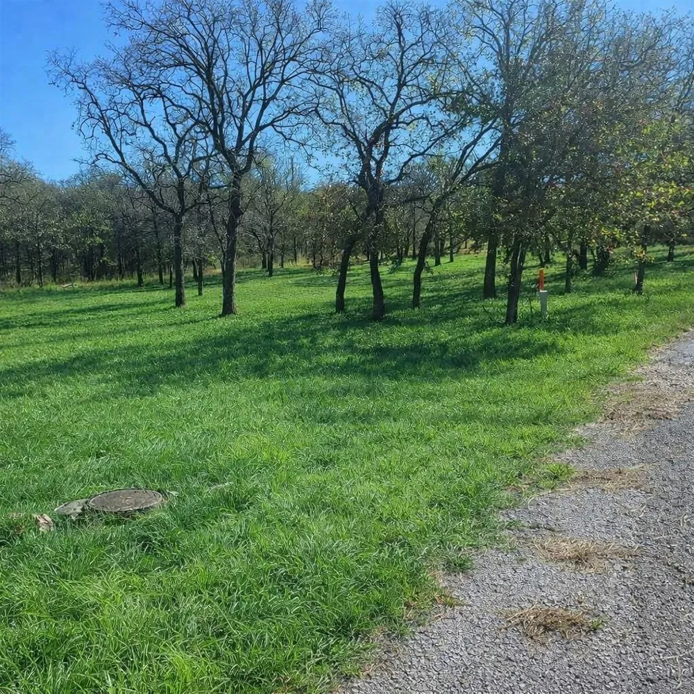 196 Johnston Lane Runaway Bay, TX 76426